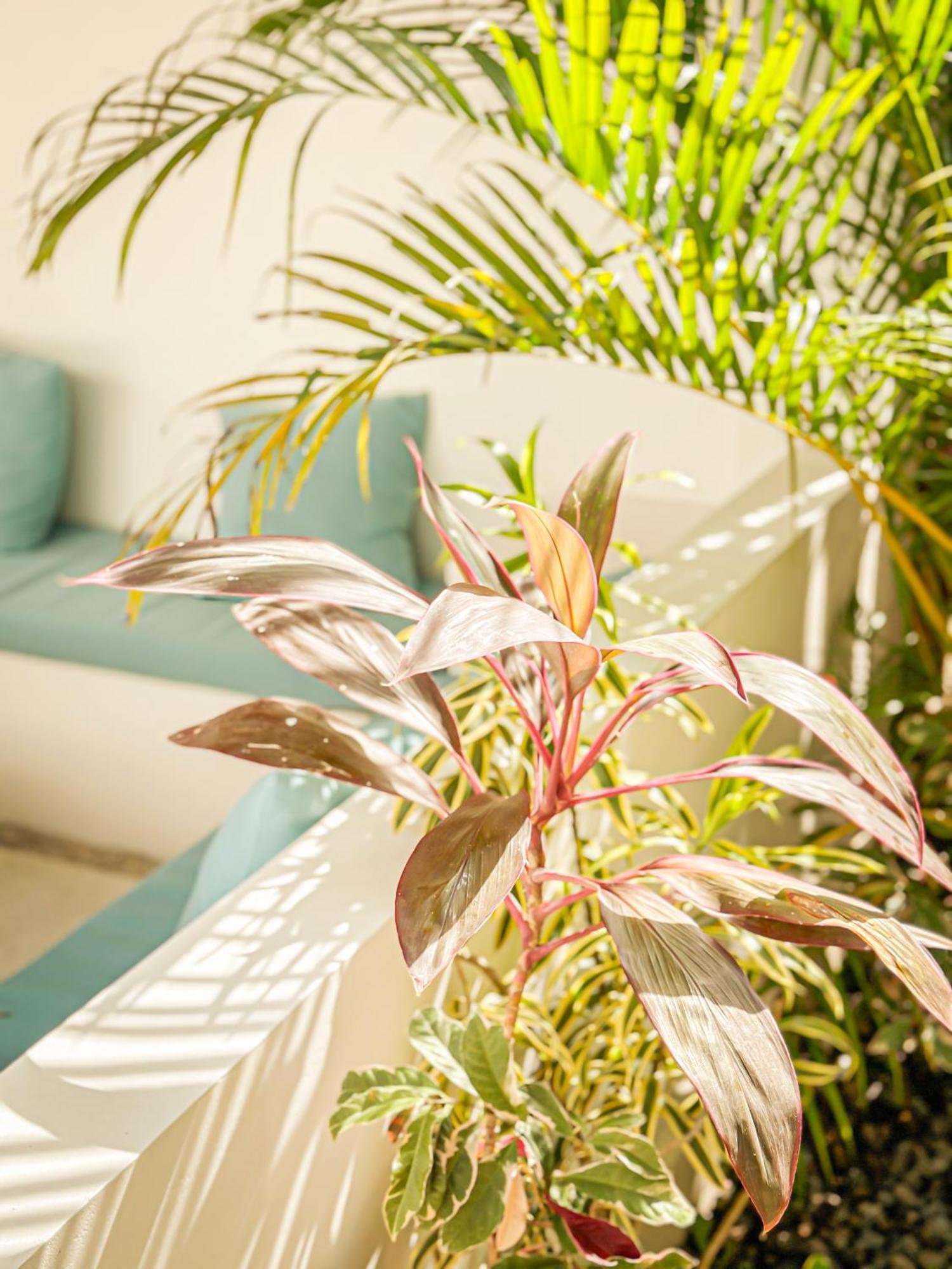 Private Pool Retreat Namu Two-bedroom 5unit